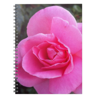Caderno - rosa do rosa
