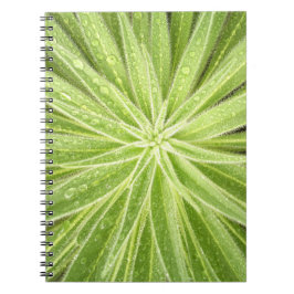 Caderno Sparkling das gotas
