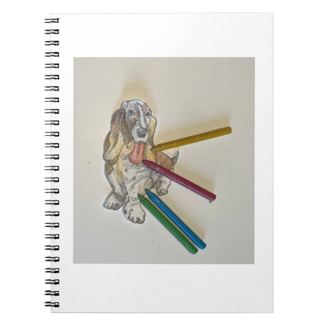 Cadernos da Bassie (Frente)