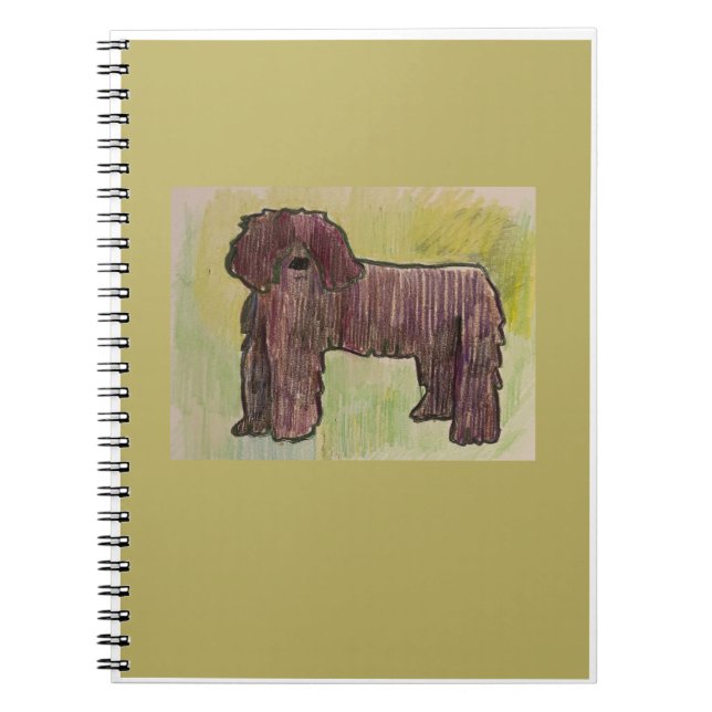 Cadernos do Bassie (Frente)