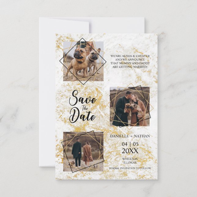 Cães Animais Três Fotos Curtiram Efeito Dourado Fa (Frente)