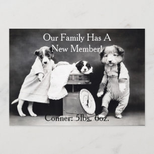 Cães B&W Vintage Novo Anúncio de Puppy