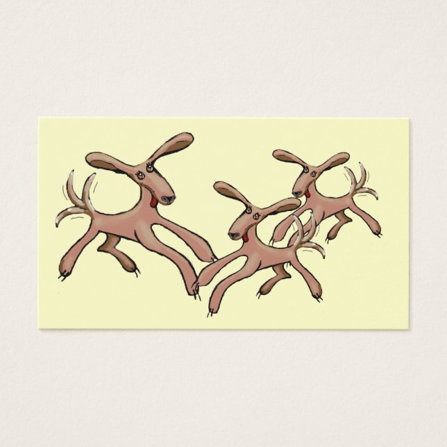 Cães bichos (Frente)