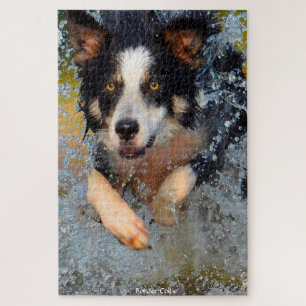 Cães Border Collie. Quebra-cabeça