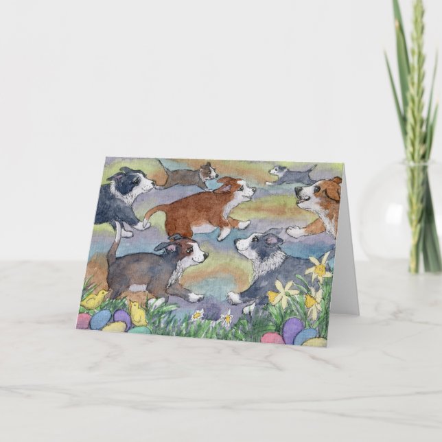 Cães Caçadores De Ovos, Cartão De Collie De Borda (Frente)