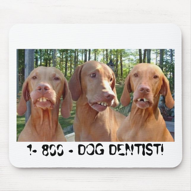 CÃES COM o DENTISTA MOUSEPAD dos DENTES de (Frente)