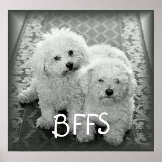 Cães Cute BFFS Poster Impressão