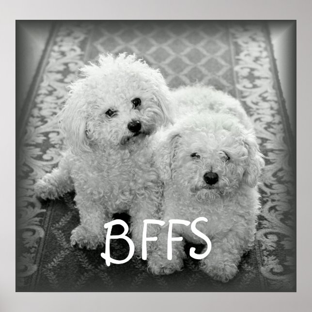 Cães Cute BFFS Poster Impressão (Frente)