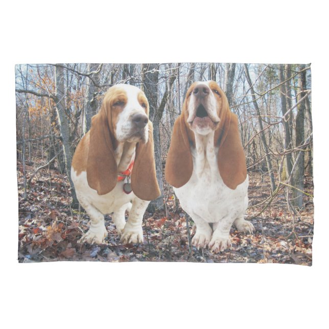 Cães de Basset no caso do travesseiro de Basset (Frente)