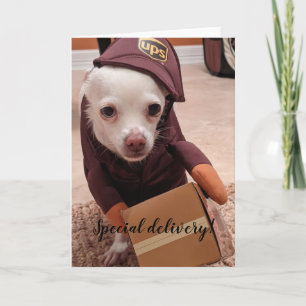 Cães de Emergência Padrão, Cartão de Saudação Dobr