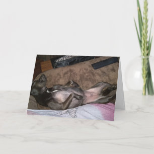 Cães de Emergência Padrão, Cartão de Saudação Dobr