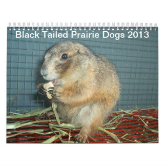 Cães de pradaria atados preto - calendário 2013