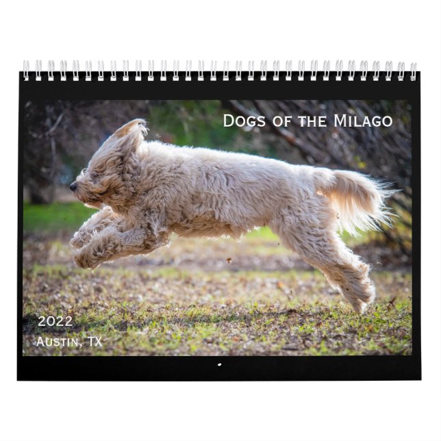 Cães do Calendário de Milago (Capa)