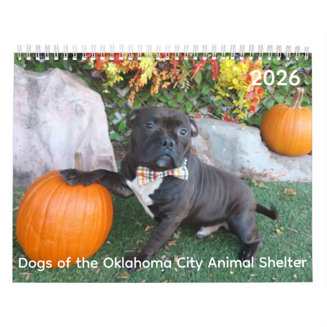 Cães do Calendário de Proteção Animal da Cidade de (Capa)