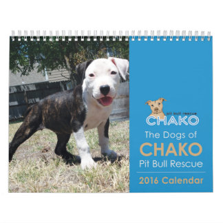 Cães do calendário do salvamento 2016 do pitbull