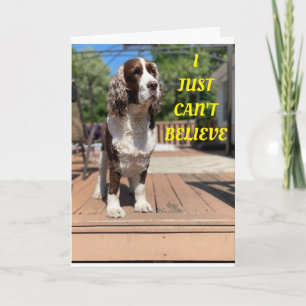 CÃES DOCES DIZEM 50º ANIVERSÁRIO FELIZ! Cartão