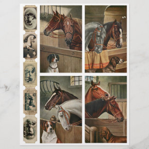 Cães e Cavalos Vintage