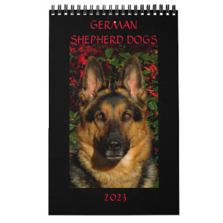 CÃES german shepherd - Calendário da Página de Sol