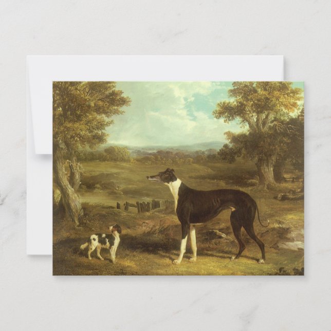 Cães, Greyhound e Spaniel, Doutor Fop por Herring (Frente)