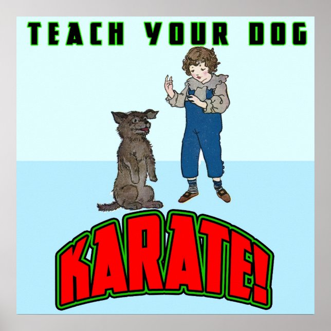 Cães - Karate 2 - Poster (Frente)