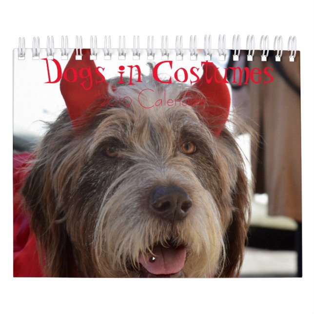 Cães no calendário dos trajes 2019 (Capa)