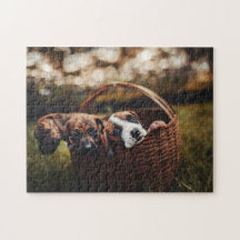 Cães Quebra-cabeça Animais Pic Cachorro Cachorro C