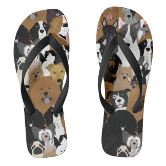 Cães, um Gato e Chinelos de Galinha