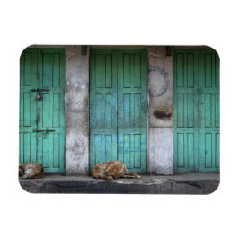 Cães vadios em frente a portas com íman retangular