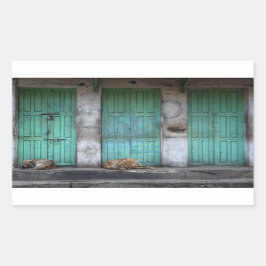Cães vadios na frente das portas com etiqueta reta