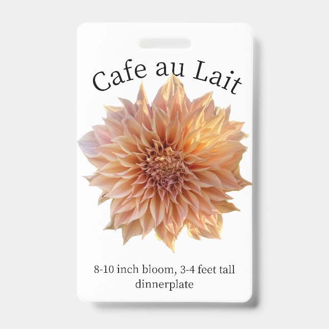 Cafe au Lait Dahlia Crachá de Identificação (Frente)
