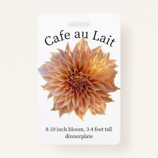 Cafe au Lait Dahlia ID Crachá