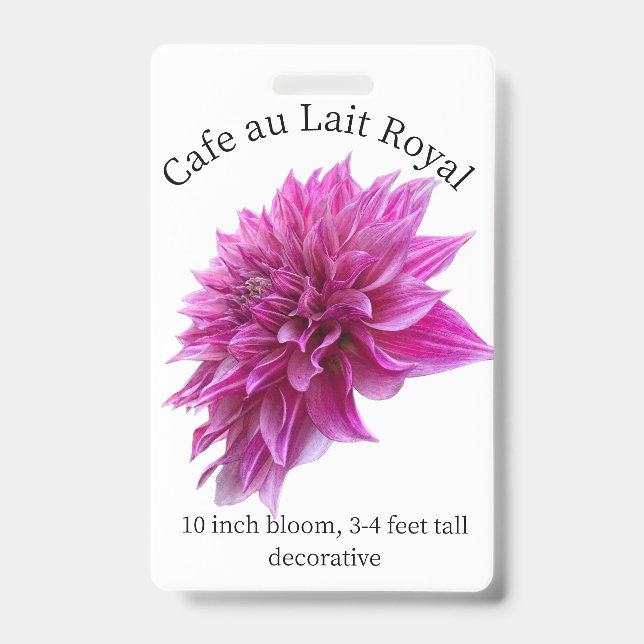 Cafe au Lait Royal Dahlia ID Crachá (Frente)