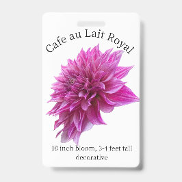 Cafe au Lait Royal Dahlia ID Crachá