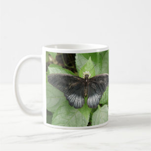 Café Bonito borboleta tropical e caneca de flores