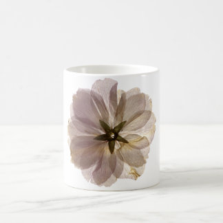 Café Caneca 2 da flor de cerejeira
