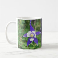 Caneca aquilégia azul de Colorado