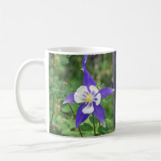 Café Caneca aquilégia azul de Colorado