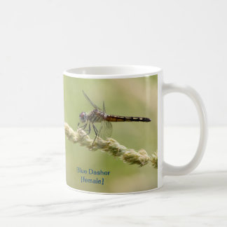 Café Caneca azul de Dasher