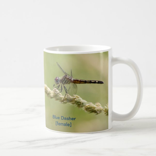 Café Caneca azul de Dasher (Direita)