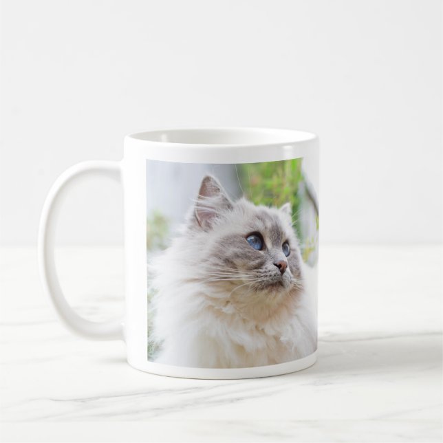 Café Caneca bonito do gato de Ragdoll (Esquerda)