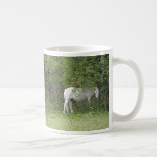Café Caneca Branca de Cavalo Tímida