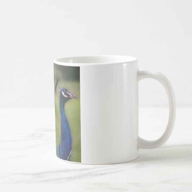 Café Caneca Clássica Branca Foto de Pavão (Direita)