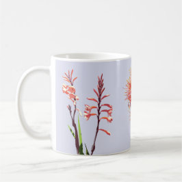 Café Caneca com as flores de Cape Town
