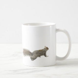 Café Caneca com Foto de Esquilo