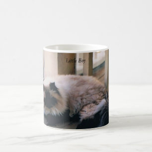 Café Caneca com foto de um gato Himalaia