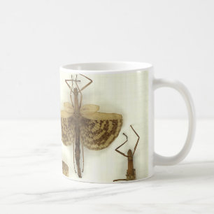 Café Caneca com insetos de vara
