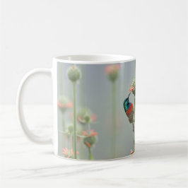 Café Caneca com uma fotografia de um sunbird