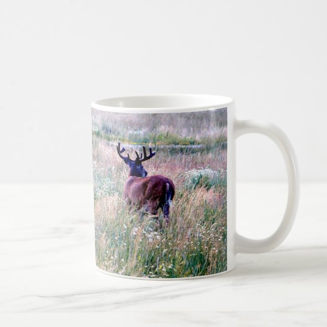 Café Caneca com Veado de Cauda Branca em Campo de Verão (Direita)