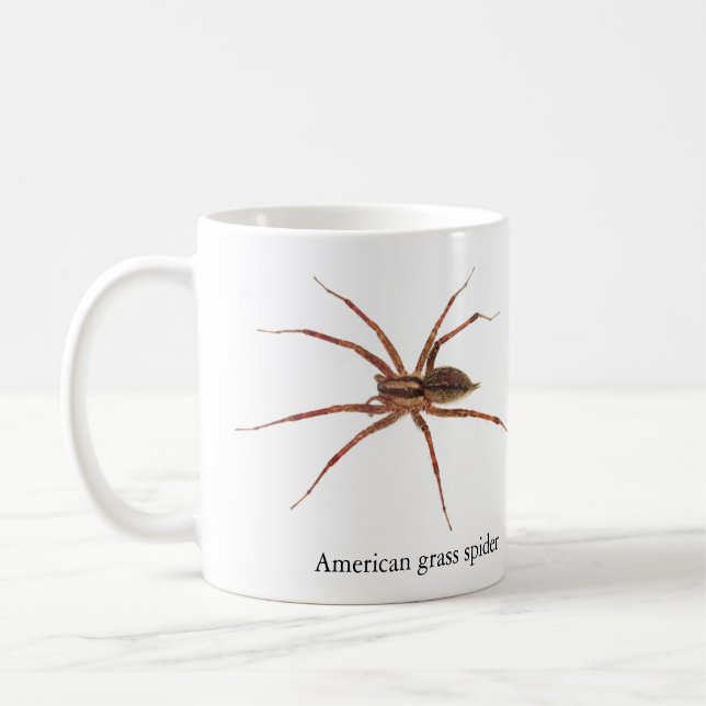Café Caneca da Aranha de Grama Americana (Esquerda)