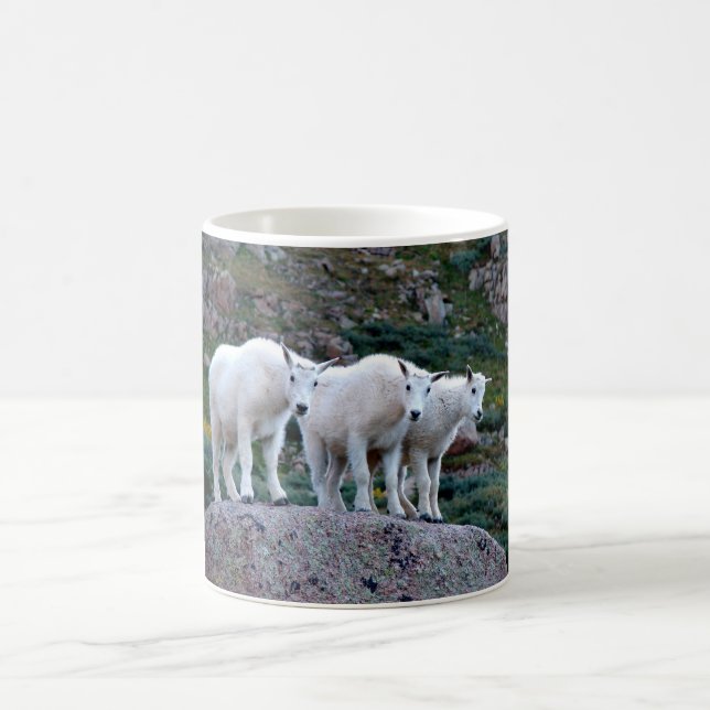 Café Caneca da cabra de montanha do bebê (Centro)